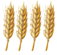 gite-tribu-du-dadet-logo-logo-4-epis