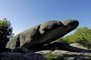 gite-la-tribu-du-dadet-pierres-jaumatres