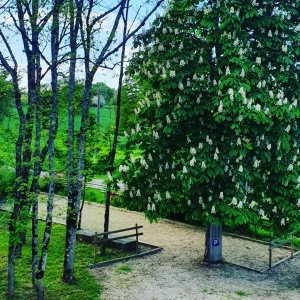 gite la tribu du dadet pétanque